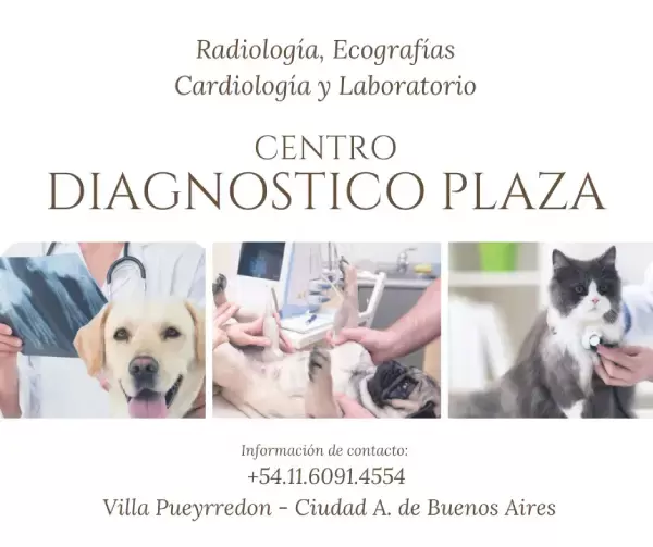 Centro Diagnóstico Plaza