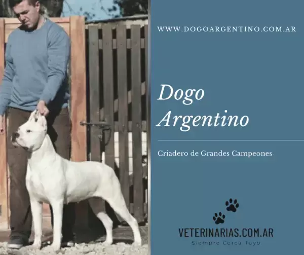 Criadero de Dogo Argentino