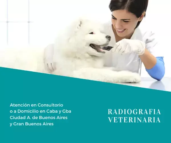Radiografía Veterinaria en Buenos Aires