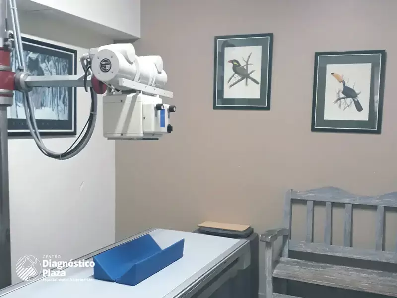 Radiografía Veterinaria Centro Diagnóstico Plaza