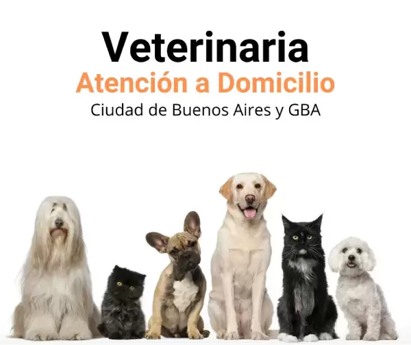 Veterinaria a Domicilio Zona Norte Gran Buenos Aires